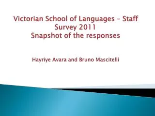VSL Staff survey - 2011
