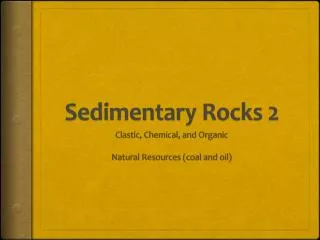 Sedimentary Rocks 2