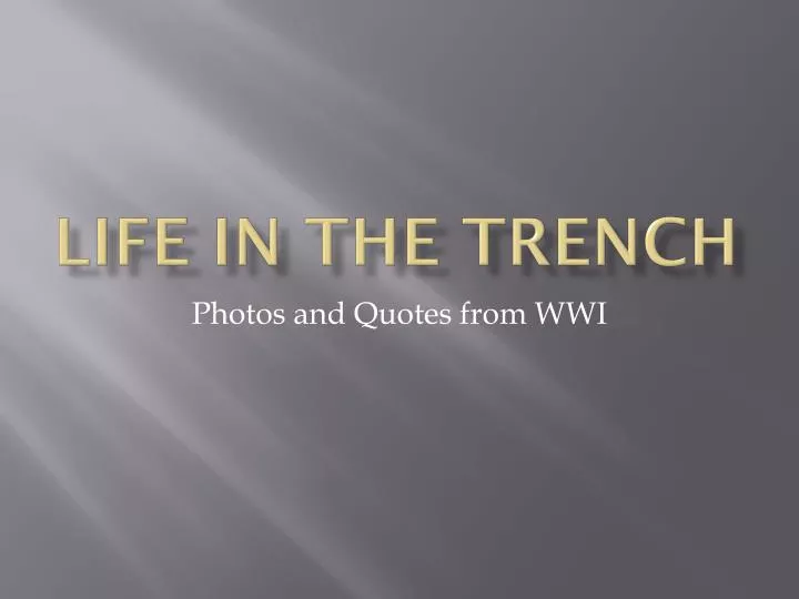 life in the trench