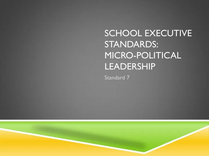 school executive standards micro political leadership
