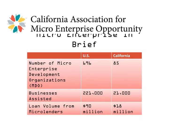 micro enterprise in brief
