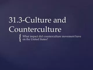31.3-Culture and Counterculture