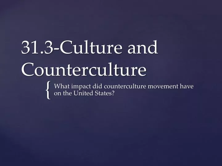 31 3 culture and counterculture