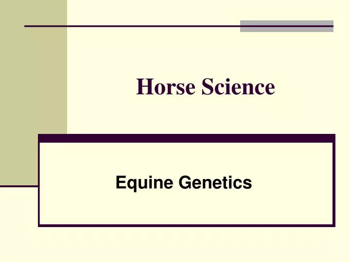 horse science