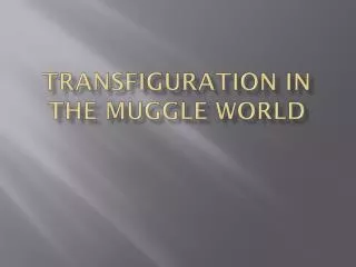Transfiguration in the Muggle World