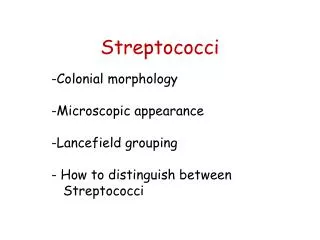 Streptococci