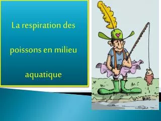 la respiration des poissons en milieu aquatique