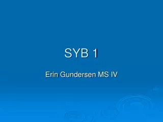 SYB 1