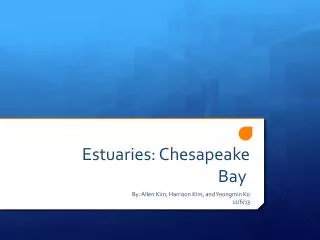 Estuaries: Chesapeake Bay
