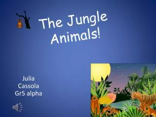 The Jungle Animals!