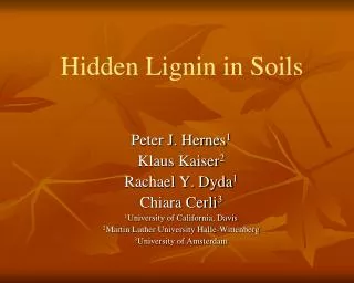 Hidden Lignin in Soils