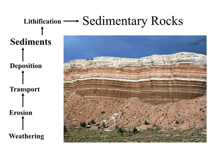 sedimentary rocks