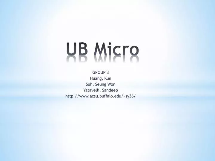ub micro