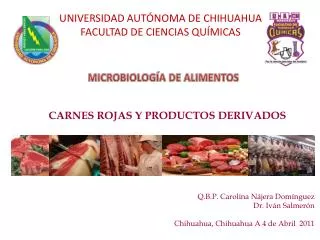 carnes rojas y productos derivados