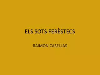 els sots fer stecs