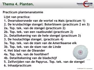thema 4 planten