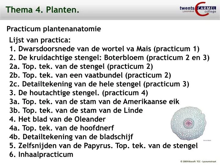 thema 4 planten