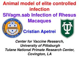 Animal model of elite controlled infection SIVagm.sab Infection of Rhesus Macaques