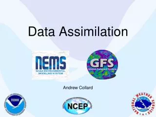 Data Assimilation