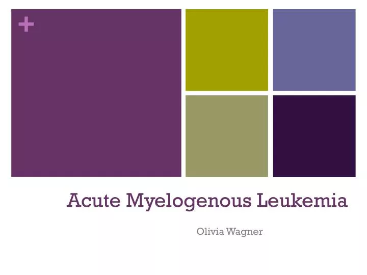 acute myelogenous leukemia