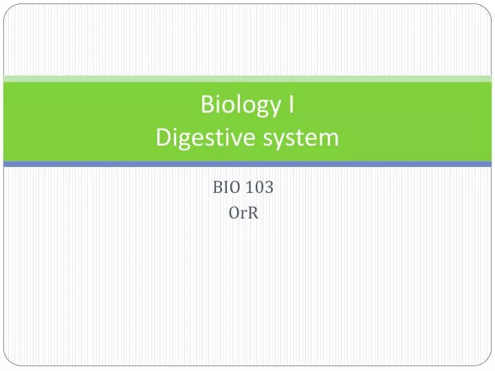 biology i digestive system