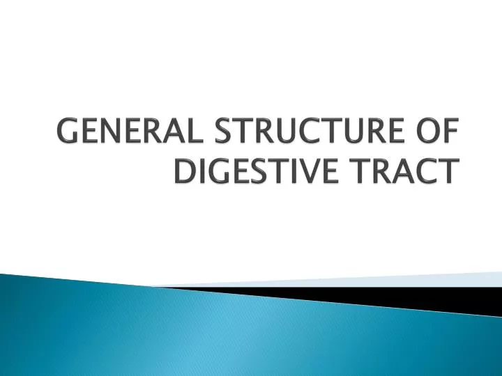 general structure of digestive tract
