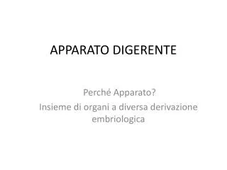 apparato digerente
