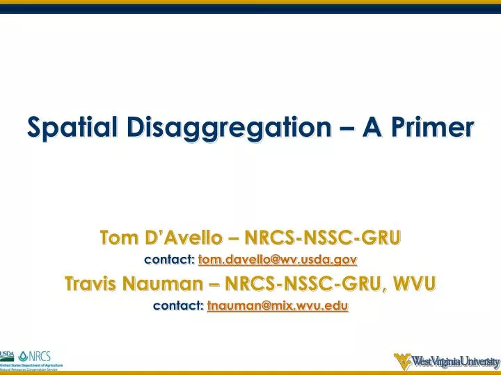 spatial disaggregation a primer