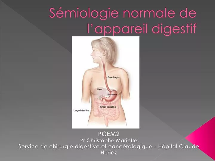 s miologie normale de l appareil digestif