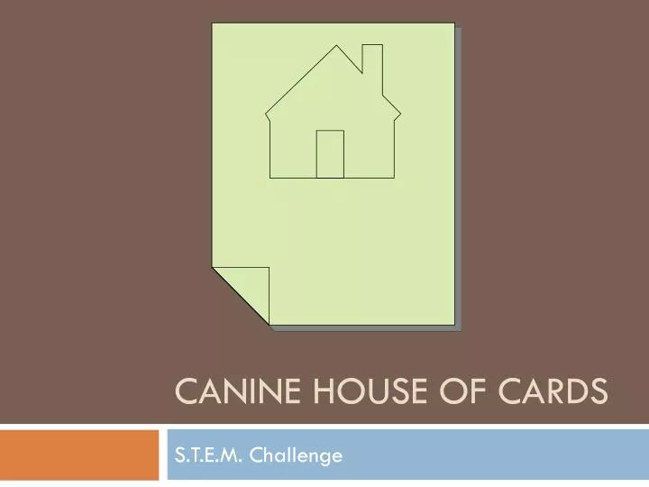 canine house of cards