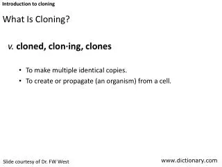 What Is Cloning?
