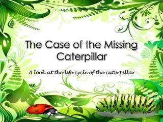 The Case of the Missing Caterpillar