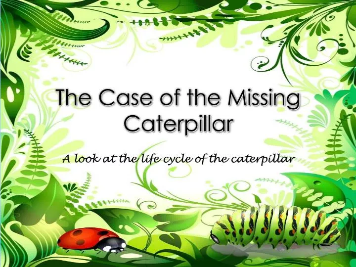the case of the missing caterpillar