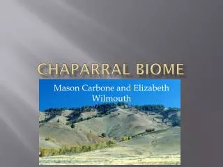 Chaparral Biome