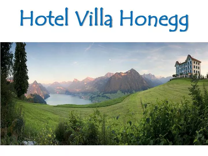 hotel villa honegg