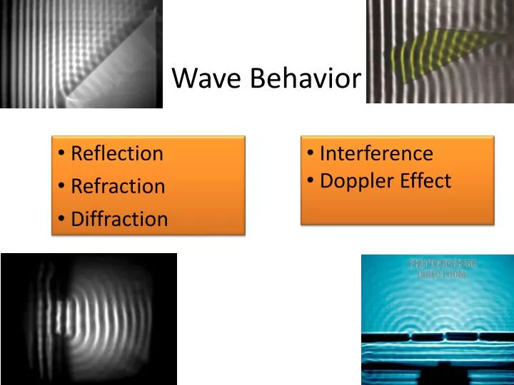 wave behavior