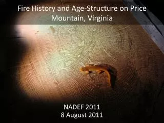 Fire History and Age-Structure on Price Mountain, Virginia