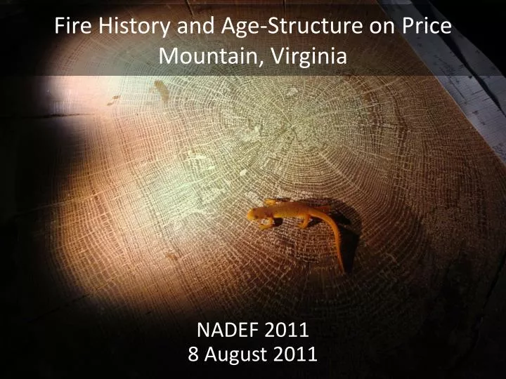 fire history and age structure on price mountain virginia