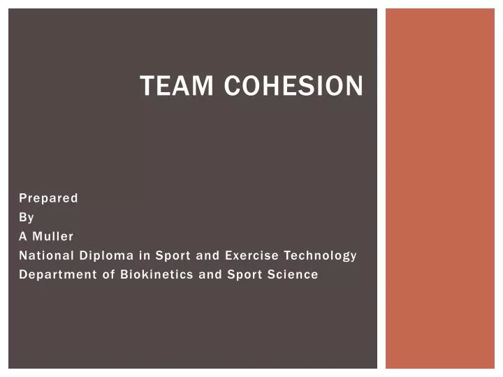 team cohesion