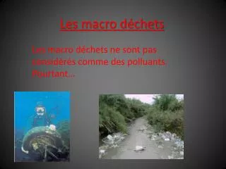 les macro d chets