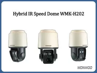 Hybrid IR Speed Dome WMK-H202