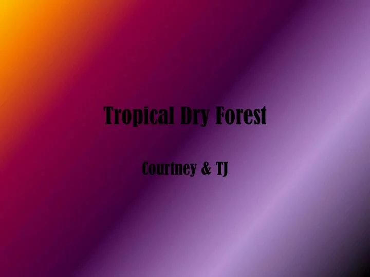 tropical dry forest