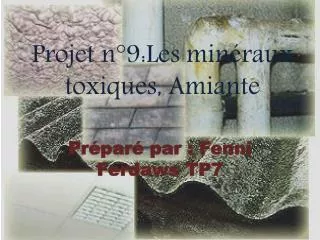 projet n 9 les min raux toxiques amiante