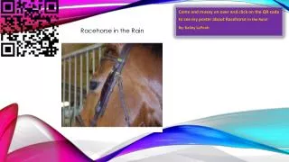 Racehorse in the Rain