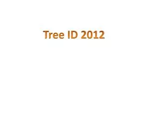Tree ID 2012