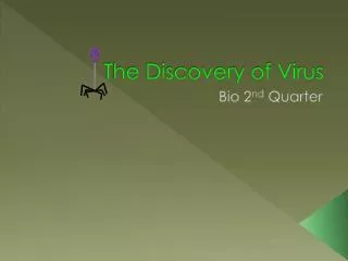 The Discovery of Virus