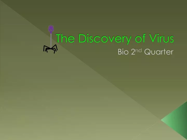 the discovery of virus