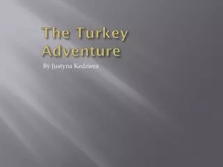 The Turkey Adventure