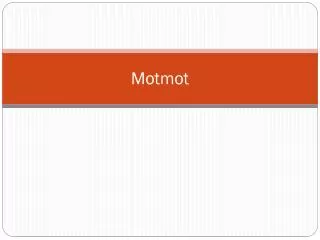 motmot