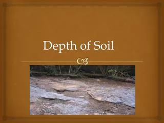 Depth of Soil